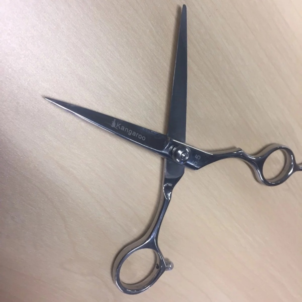 Professional shears - Picture 5 of 6